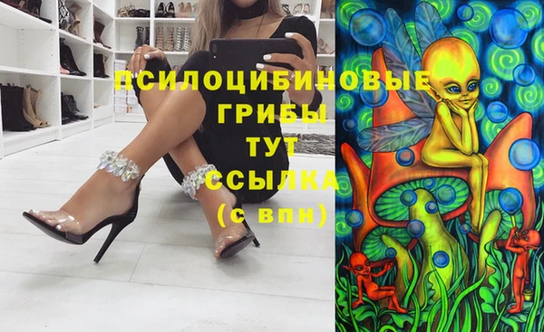 твердый Михайловка