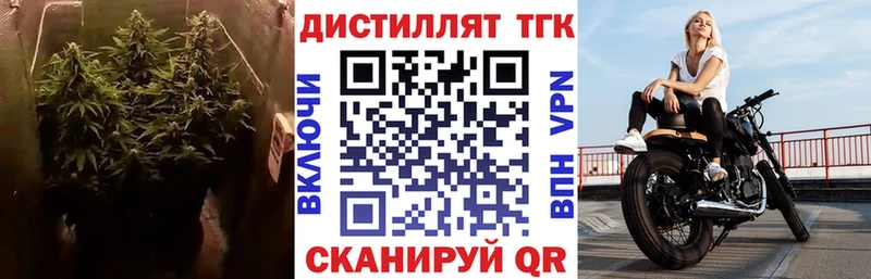 ТГК вейп  Шали 