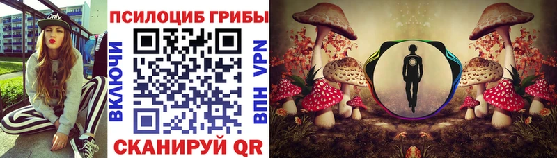 гидра зеркало  купить   Шали  Галлюциногенные грибы GOLDEN TEACHER 