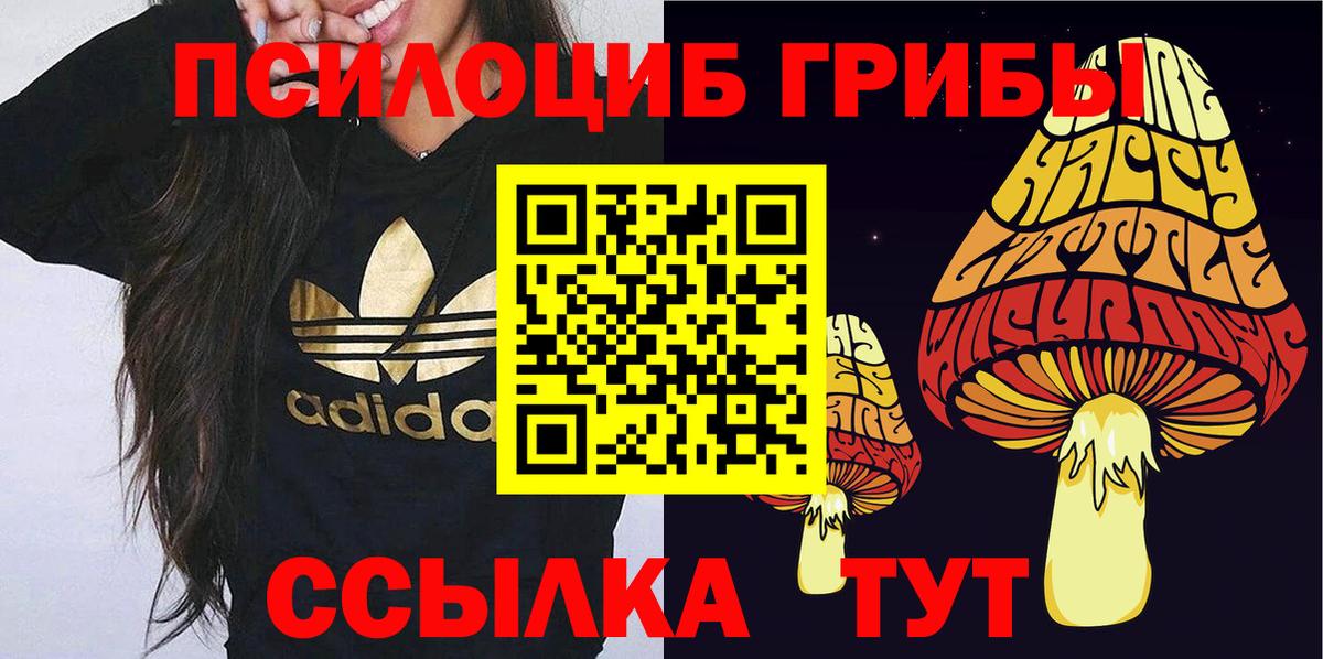 Галлюциногенные грибы Cubensis  Псилоцибиновые грибы Psilocybine cubensis  Вход с VPN  даркнет сайт  Шали 