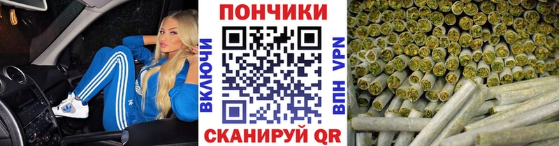 Каннабис планчик  купить  цена  Шали 